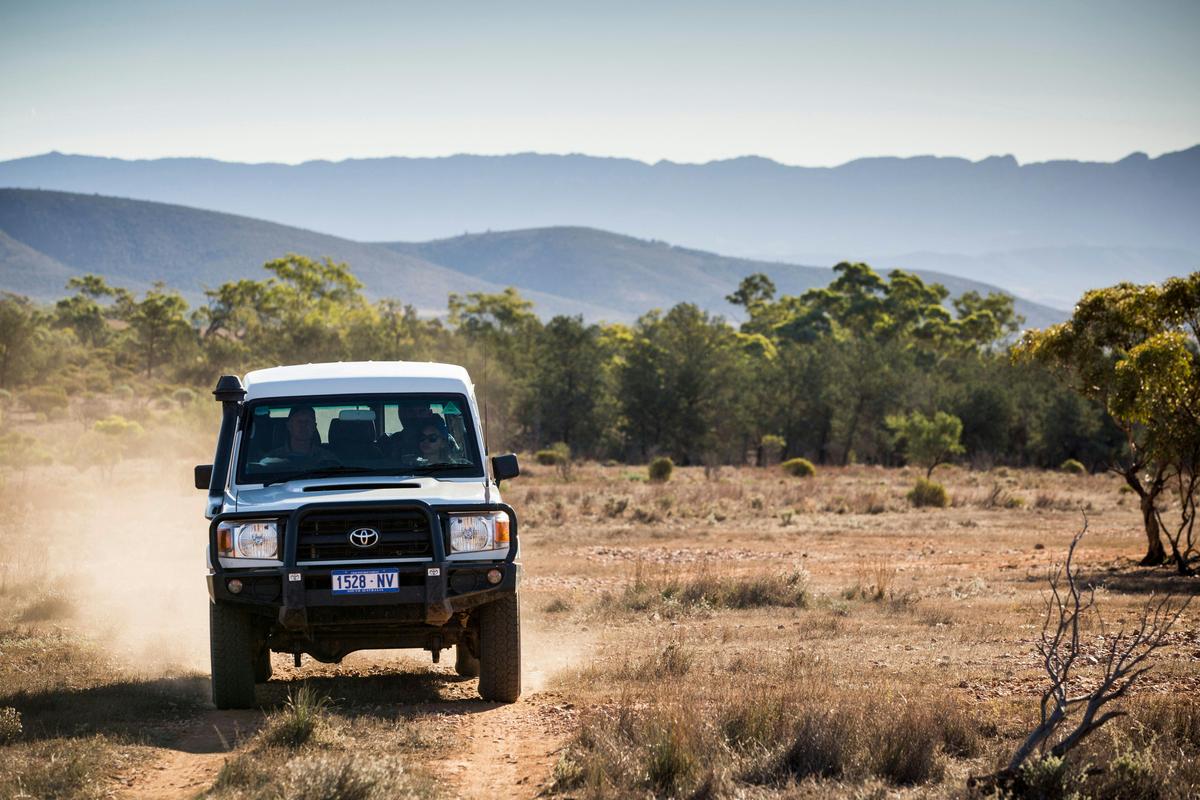 Arkapena Scenic 4WD Tour