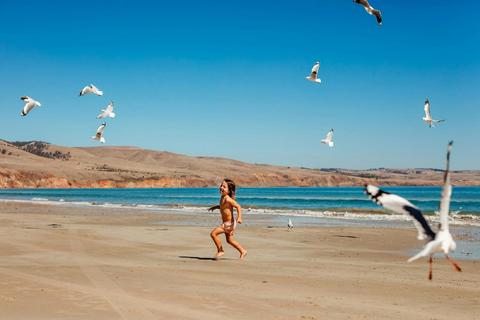Sellicks Beach