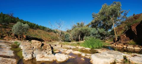 Reedy Creek Trail