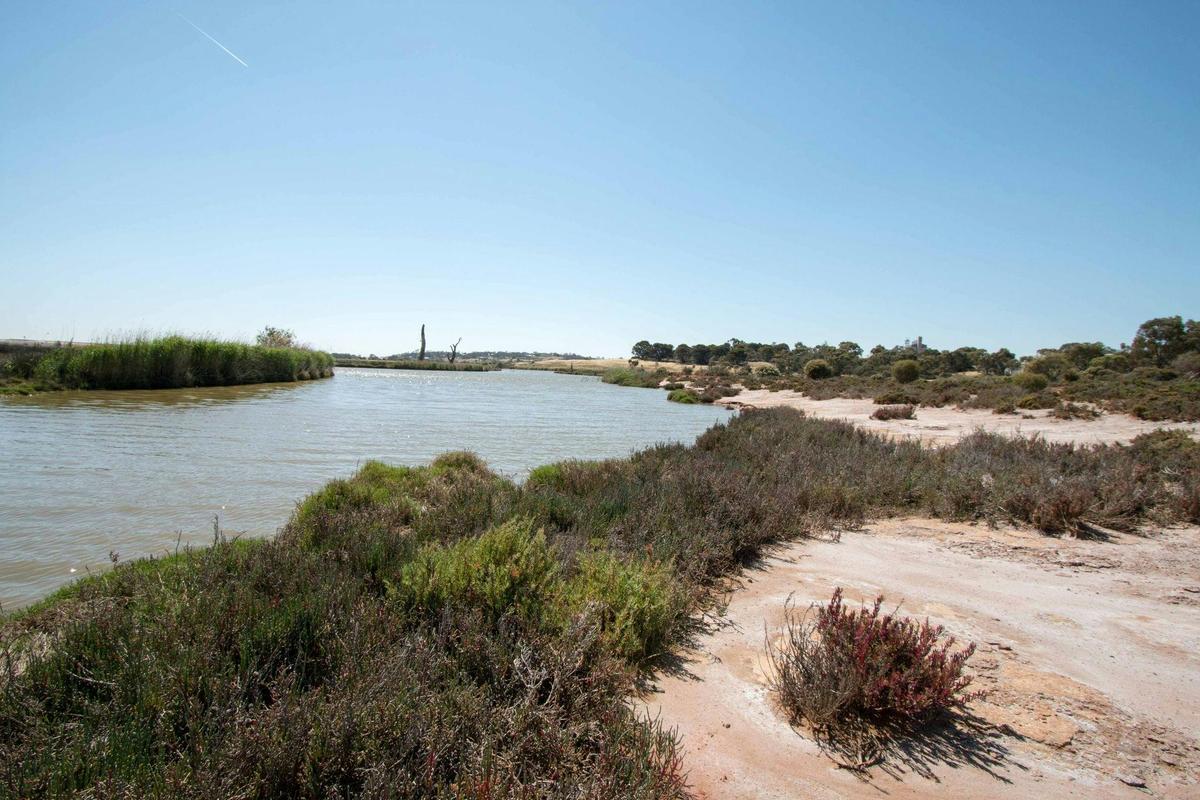 Rocky Gully Wetlands