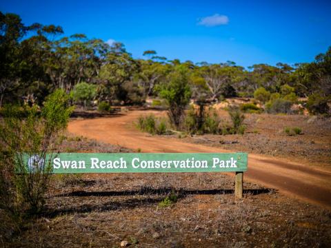 Swan Reach Conservation Park Campgrounds