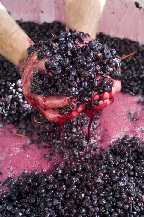 Schwarz Wine Co