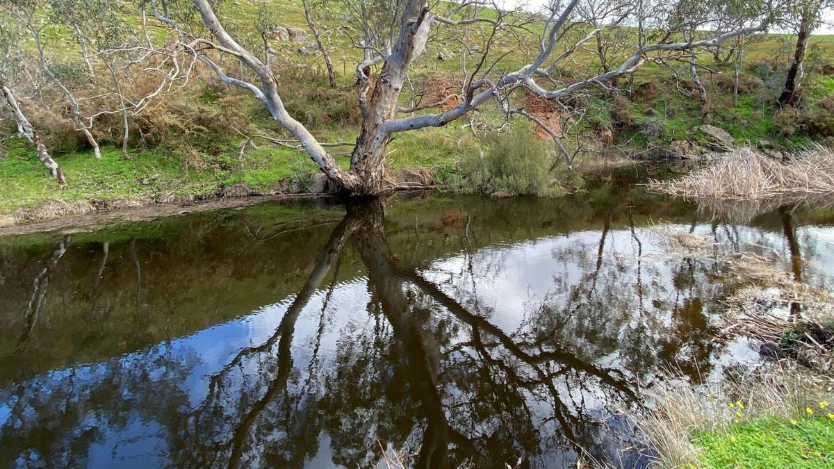 This spot is so beautiful to sit by & even throw in a yabby net when the season is right.  The river is sometime dry depending on how much rain we have had
