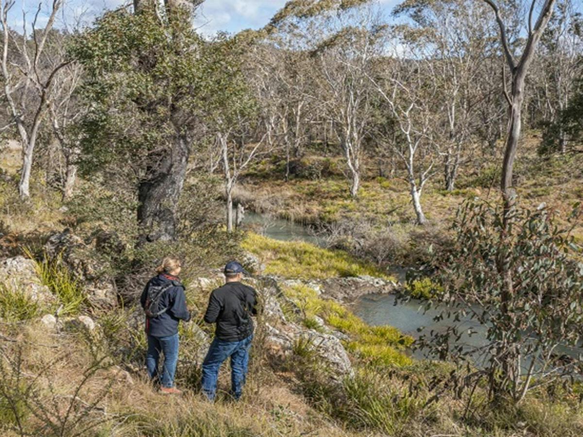 Werrikimbe National Park