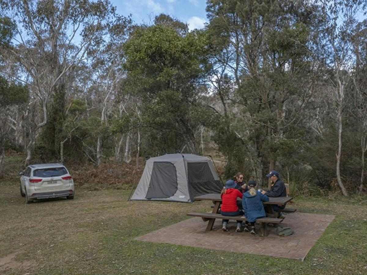 Werrikimbe National Park