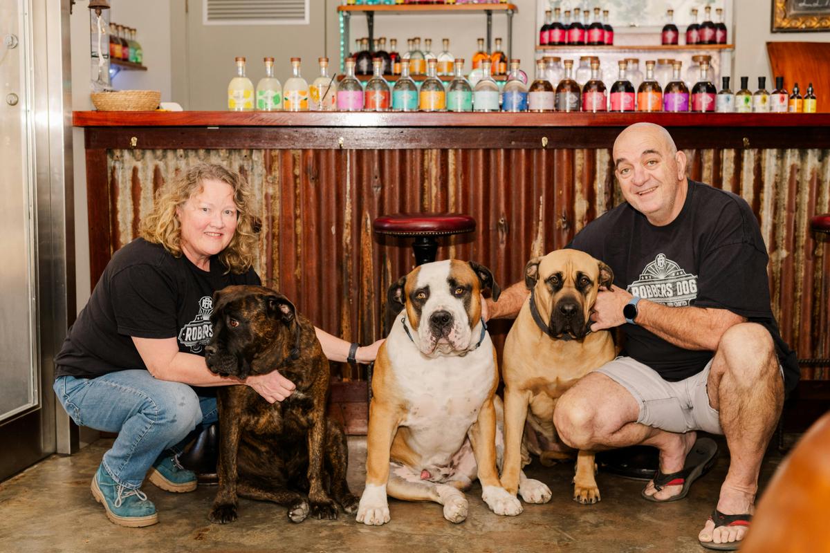 Dog friendly bar - Robbers Dog Bar