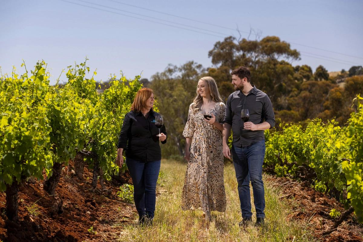 Seppeltsfield Great Terraced Vineyard