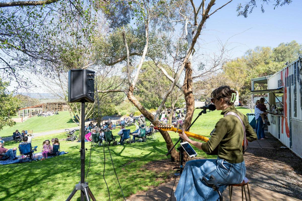 Live music at Paxton Wines