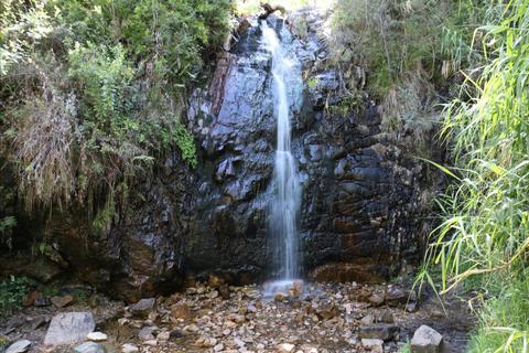 Waterfall Gully to Mount Lofty Hike