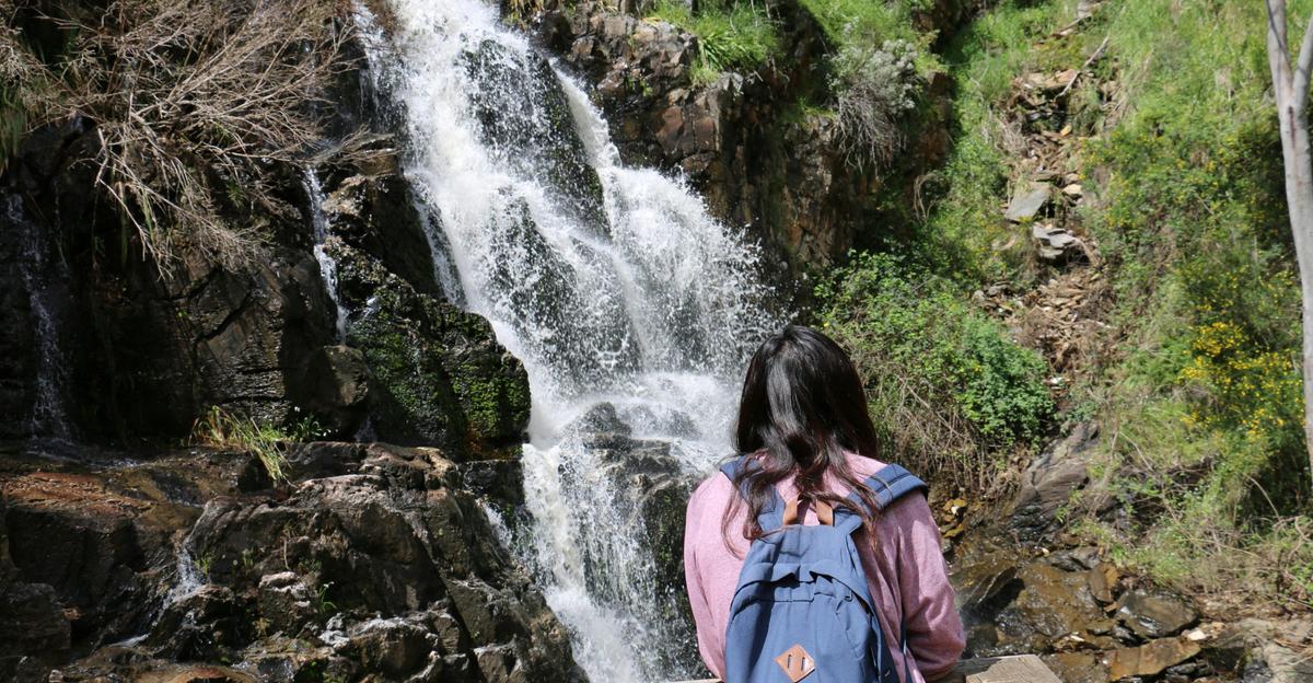 Morialta Wilderness and Wildlife Hike