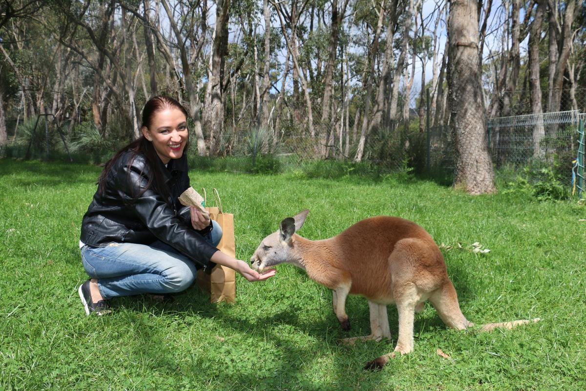Cleland Hike and Wildlife