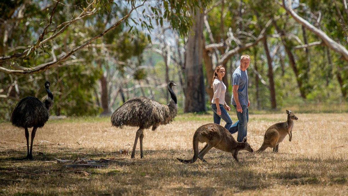 Immerse yourself in wildlife and nature