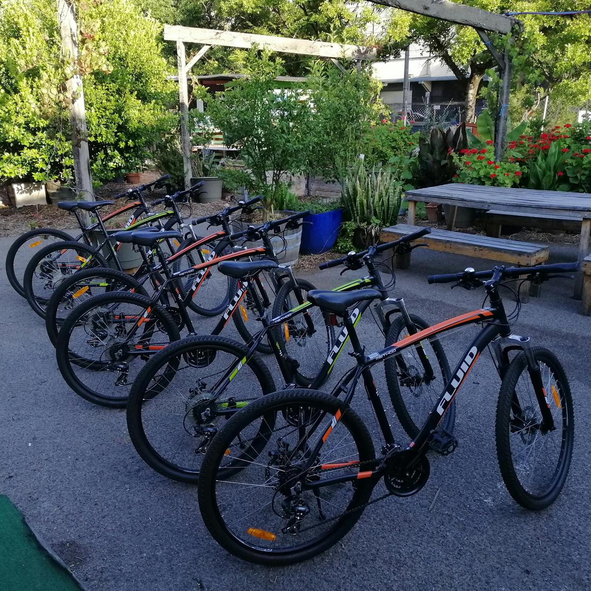 Adelaide Bike Tour - City and Parklands