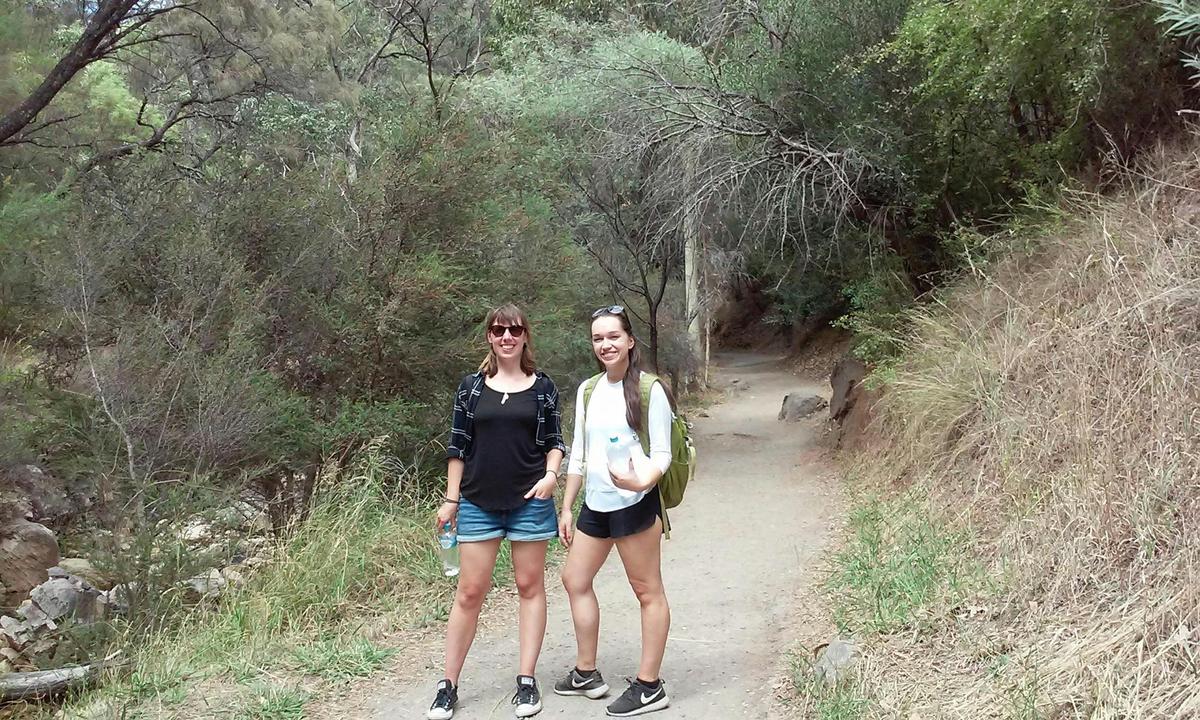Waterfall Gully to Mount Lofty Hike