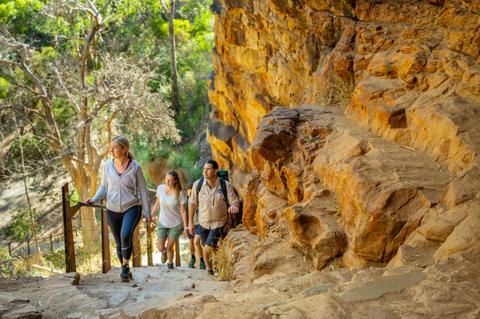 Waterfalls, Wildlife and Penfolds