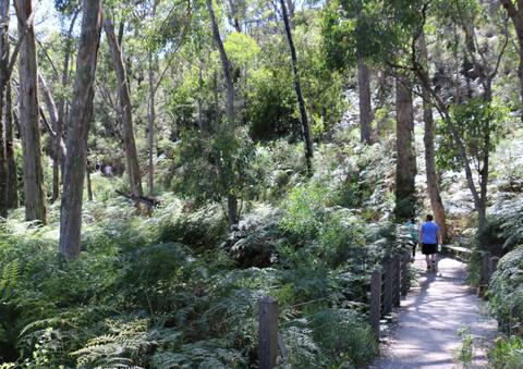 Cleland Hike and Wildlife