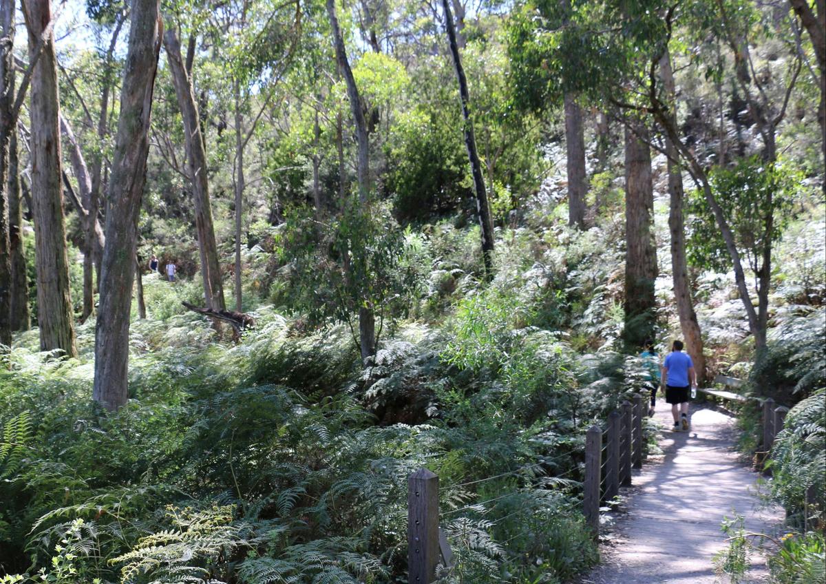 Cleland Hike and Wildlife