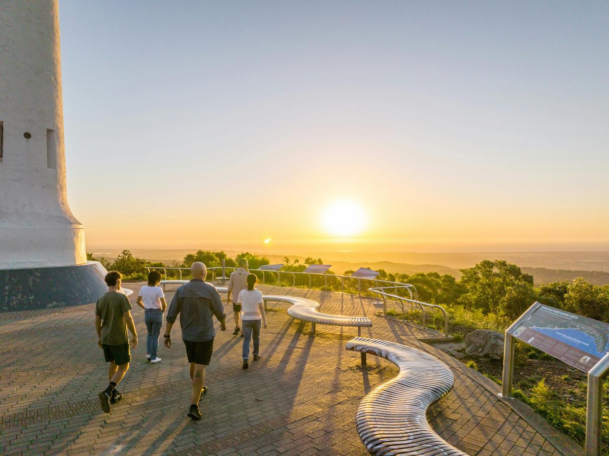 Adelaide Hills and Cleland Safari