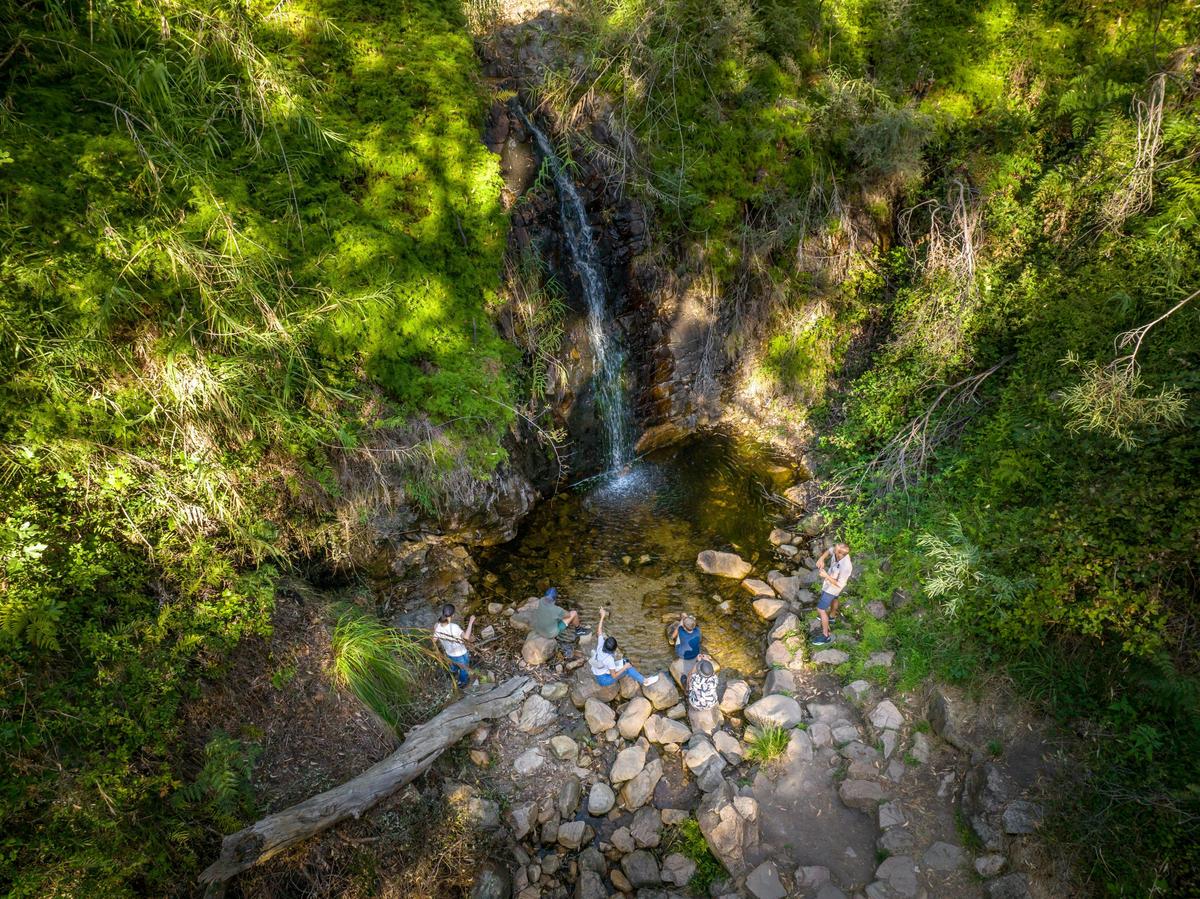 Waterfall Gully