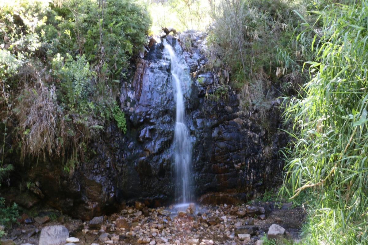 Cleland Hike and Wildlife