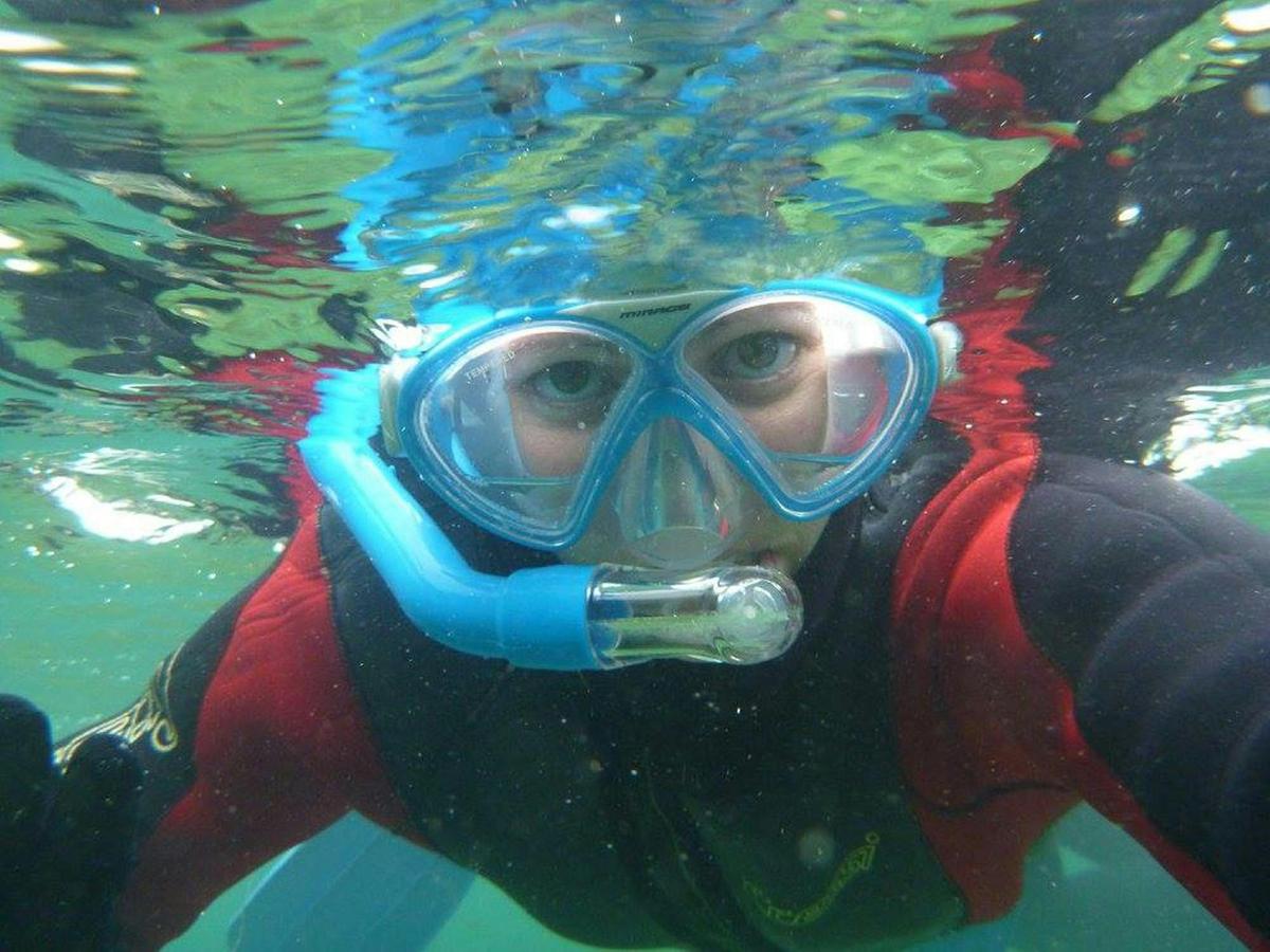 Swim with the Giant Cuttlefish
