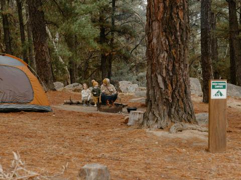 Rocky Paddock Campground