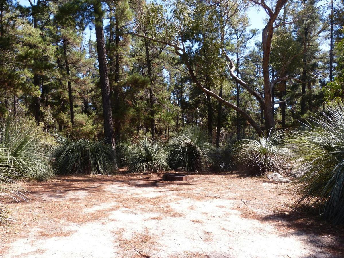 Rocky Paddock Campground