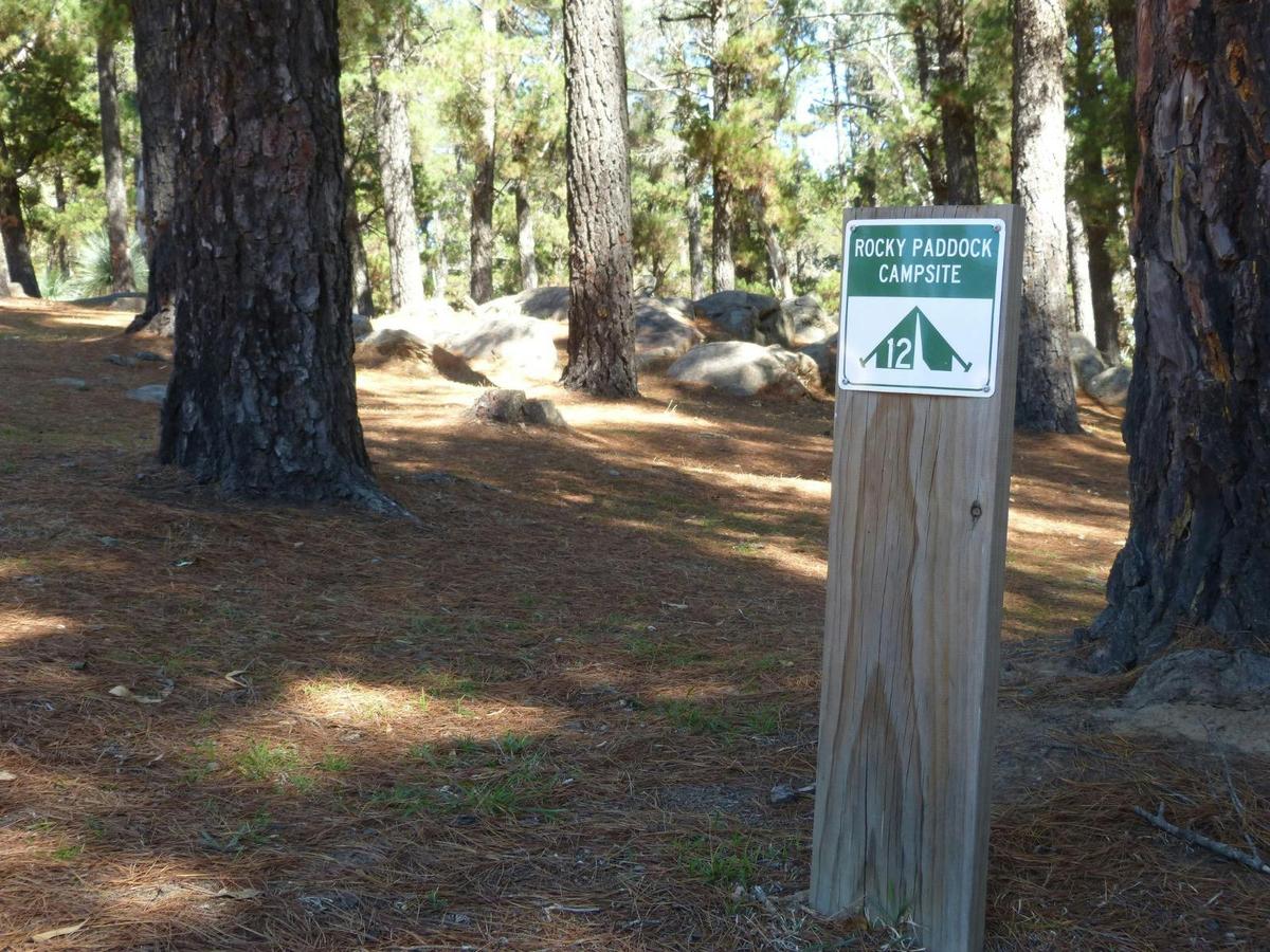 Rocky Paddock Campground
