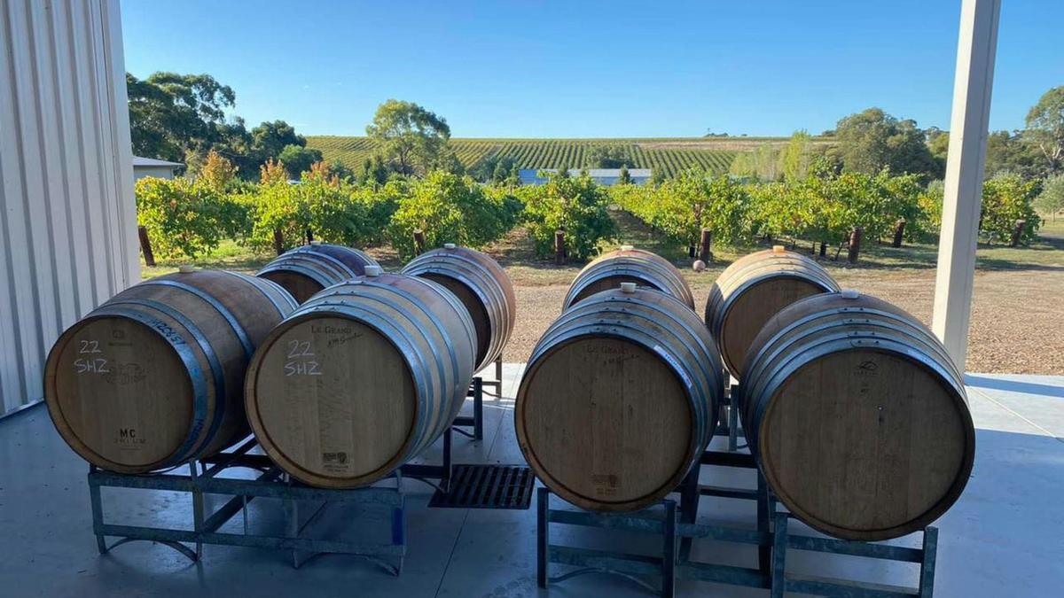 Six Strings - McLaren Vale Vineyard