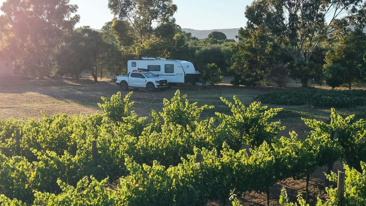 Six Strings - McLaren Vale Vineyard