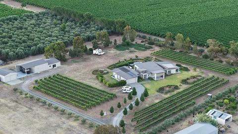 Six Strings - McLaren Vale Vineyard