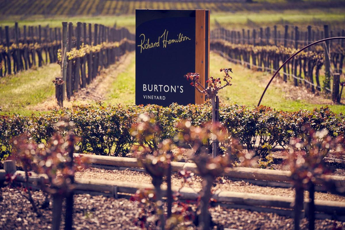 Burtons Vineyard