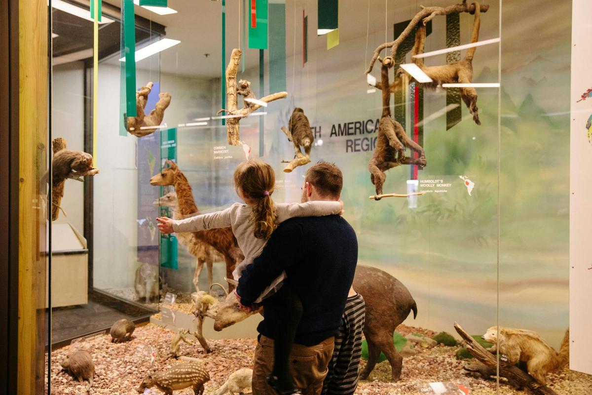 Parent and two children looking at the animals of the South American Region in World Mammals Gallery