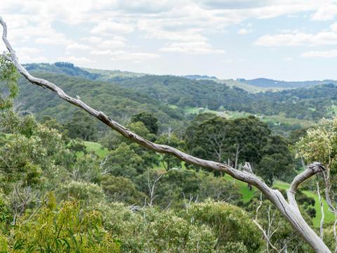 Scott Creek Conservation Park