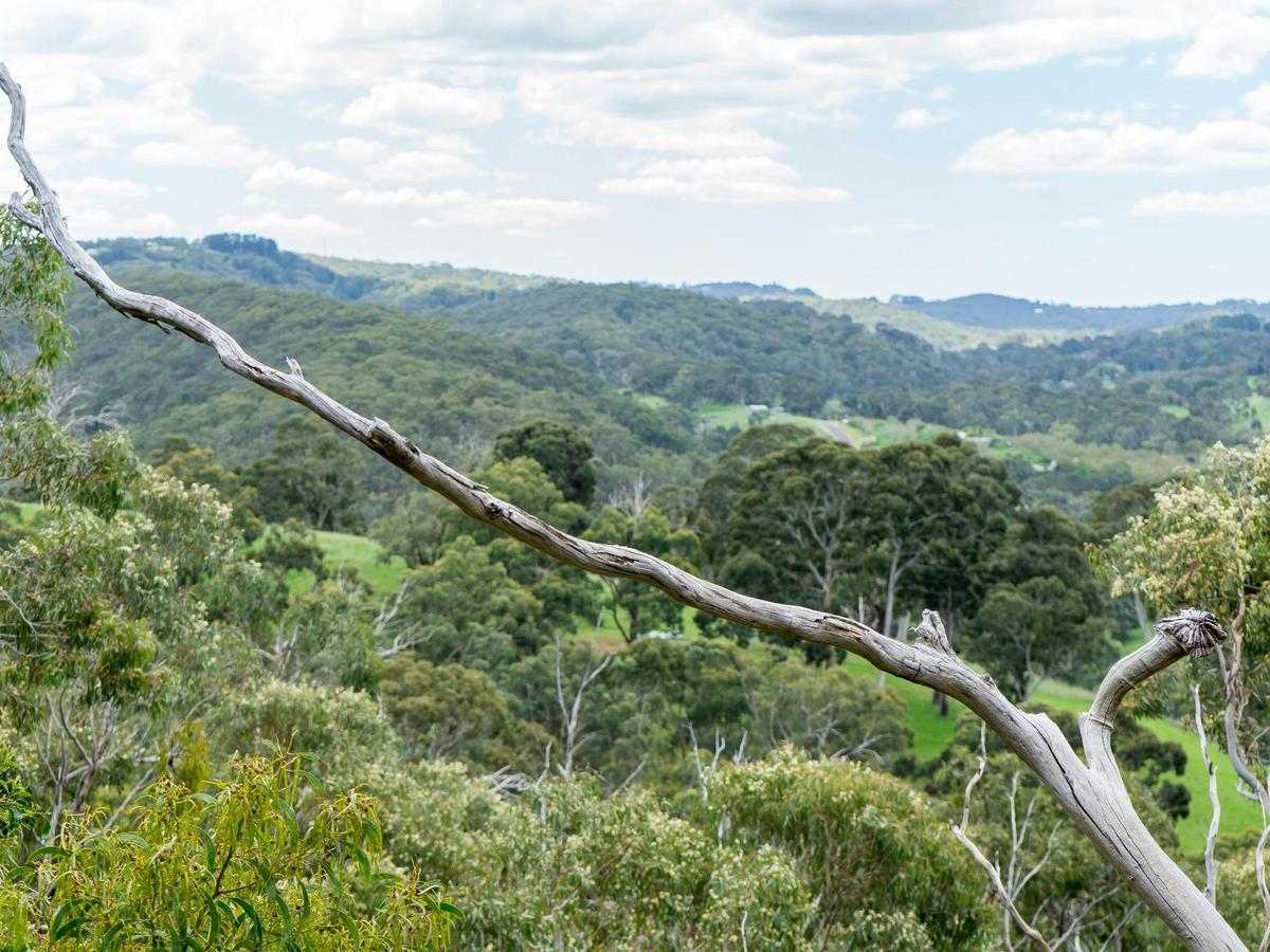 Scott Creek Conservation Park