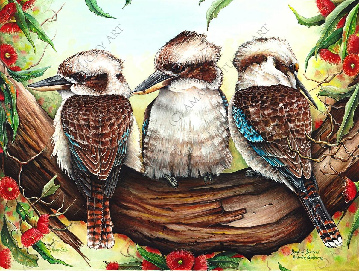 Kookaburra Painting