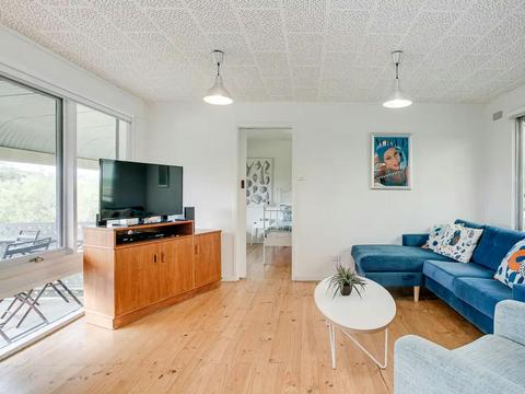 Renovated Retro Style and Park Views