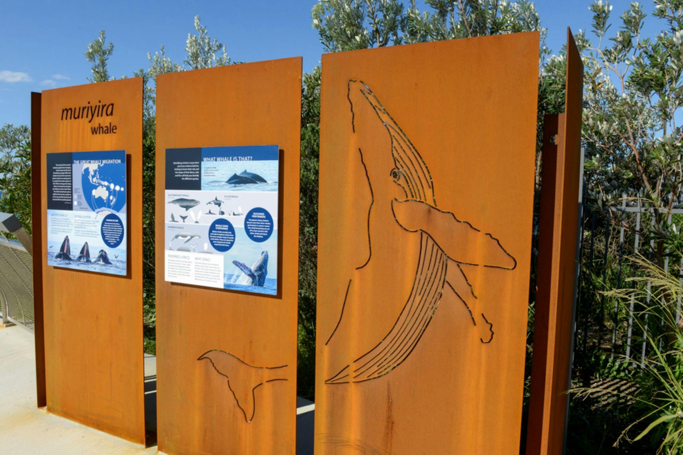 Warden Head Lighthouse - Display with information about Whale Migration