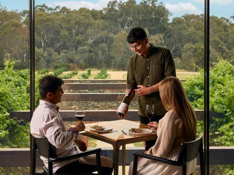 From Vine to Vault with Epicurean Cellar Lunch Experience