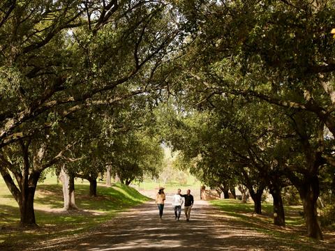 From Vine to Vault with Epicurean Cellar Lunch Experience