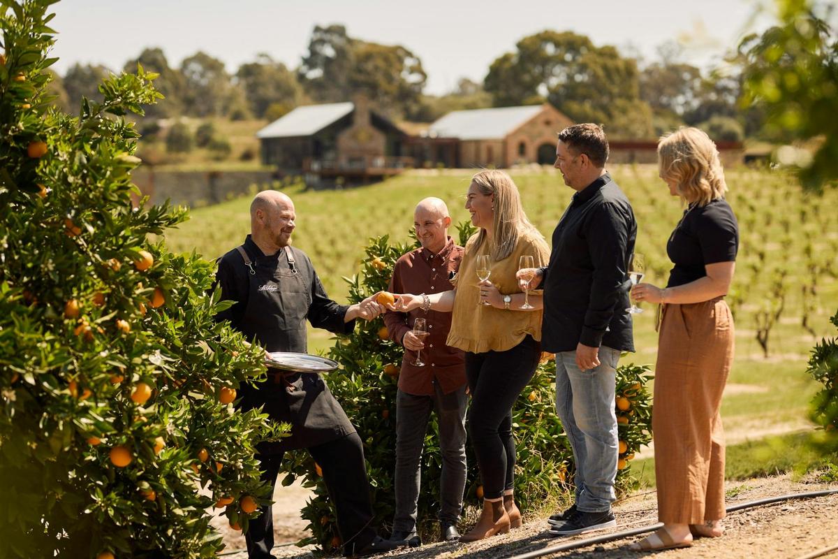 Garden to Table experience