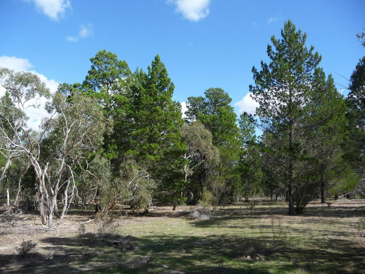 Sandy Creek Conservation Park