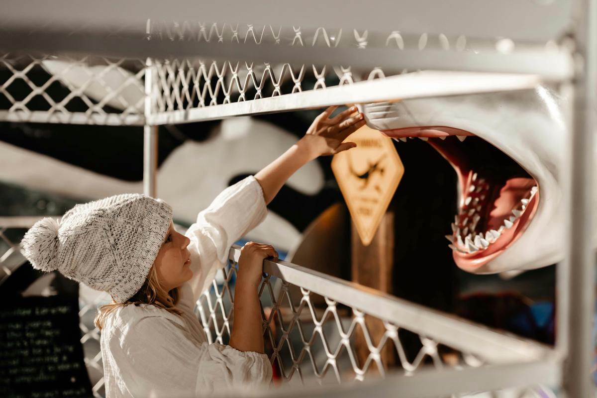 Shark Mouth
