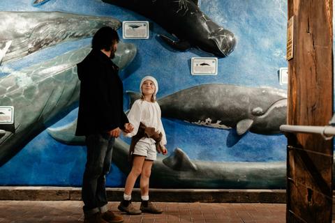 South Australian Whale Centre