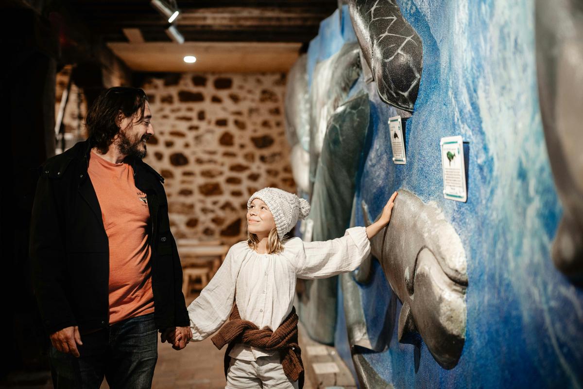 Whale Wall