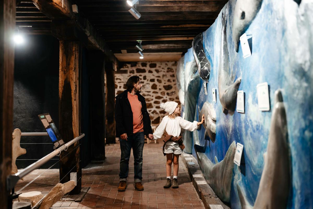 Whale Wall