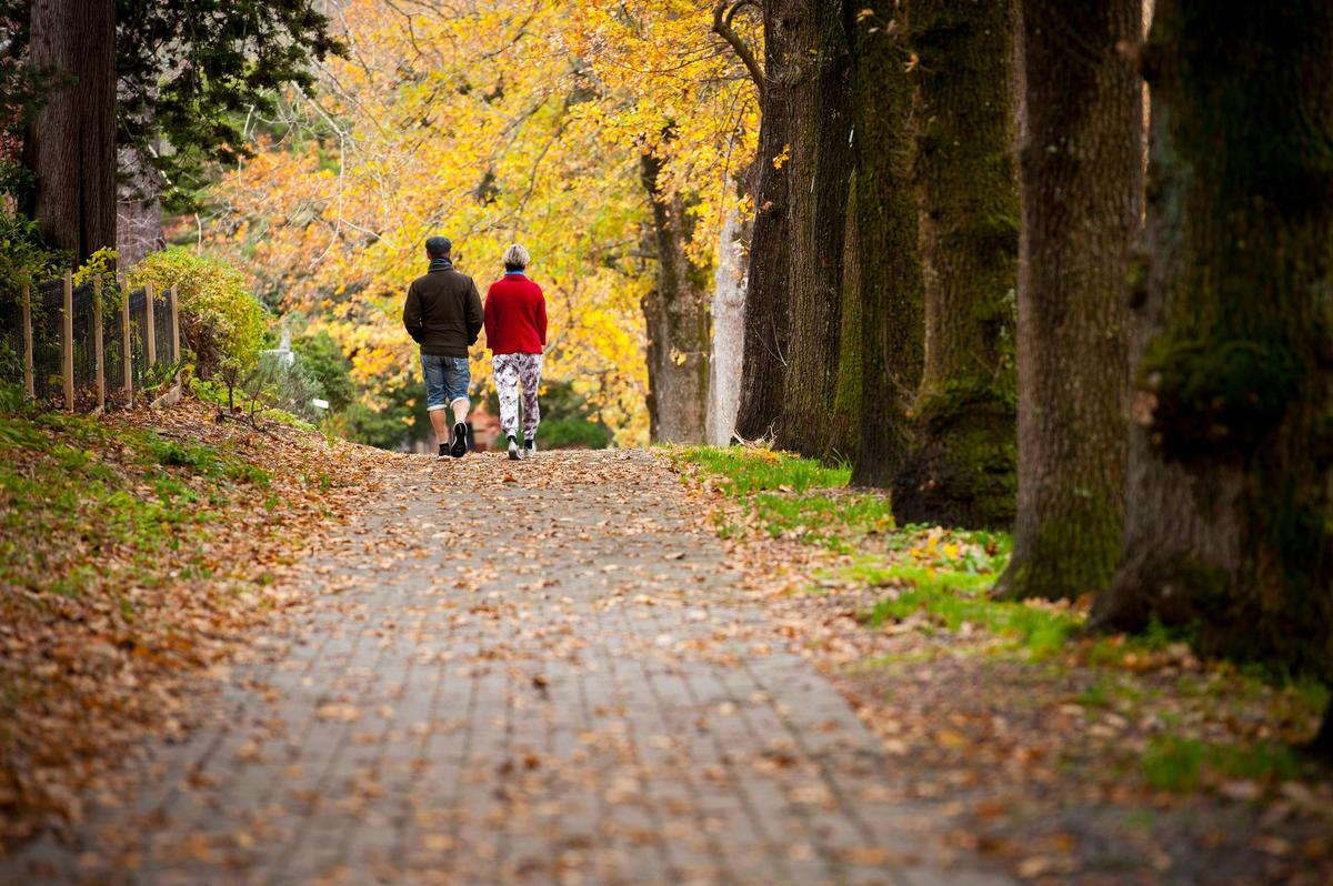Embracing the seasons on a walk through Stirling
