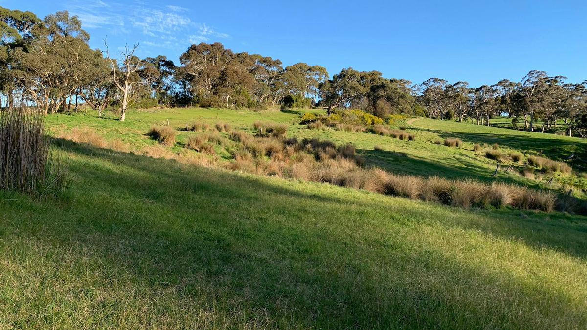 Rocky Dale Farm