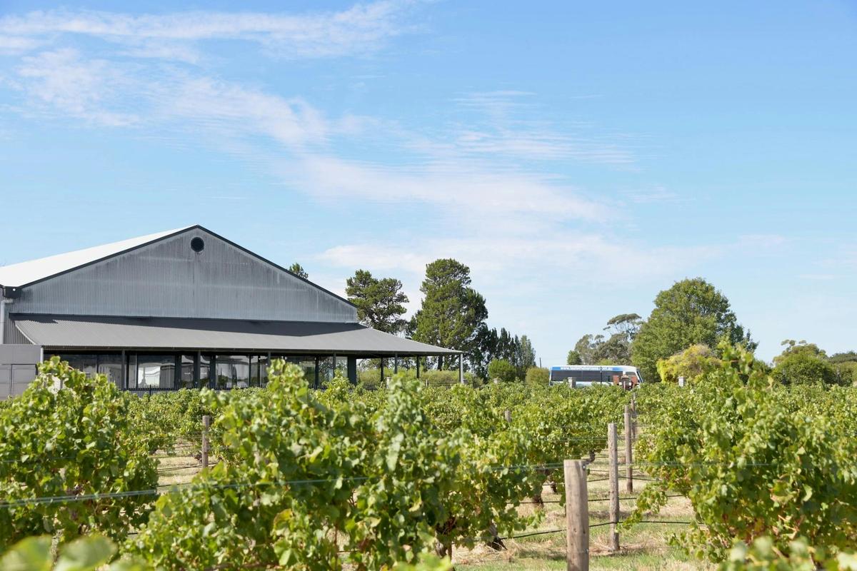 Rosenvale Vineyards