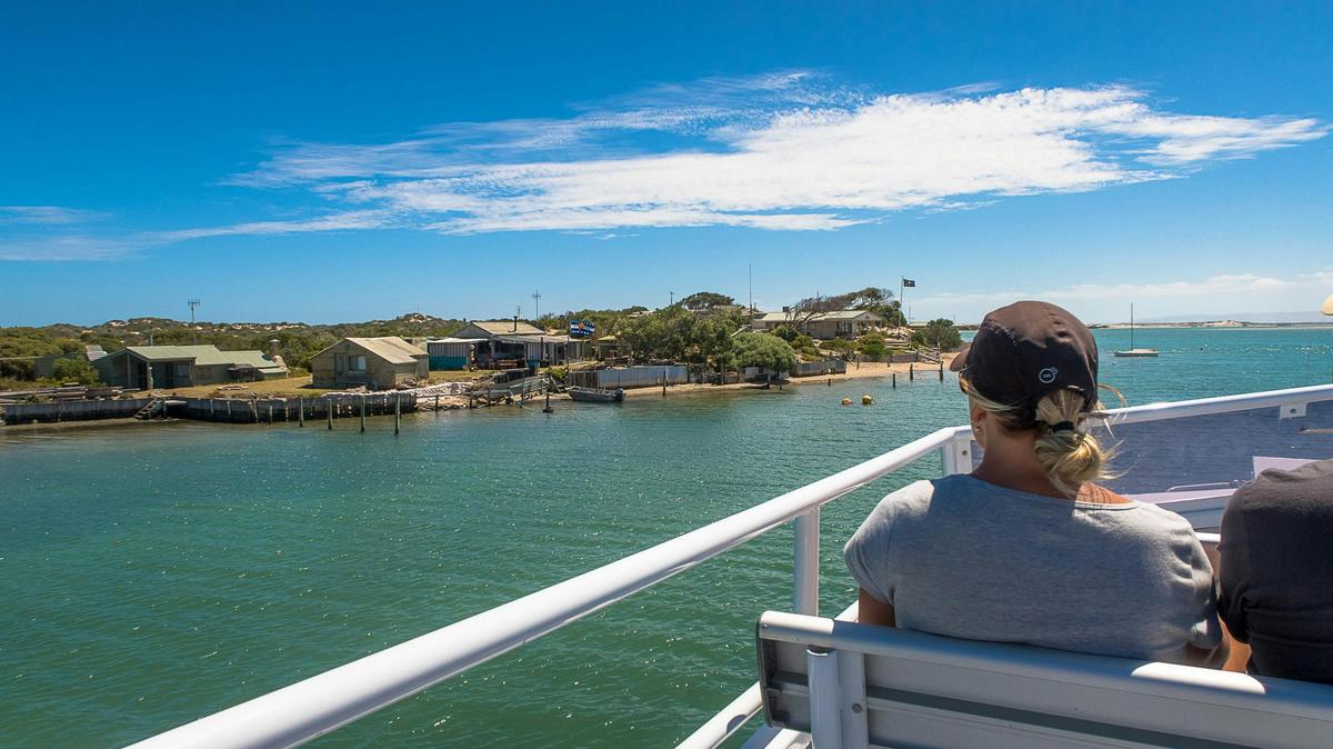 Half-Day Coorong Experience